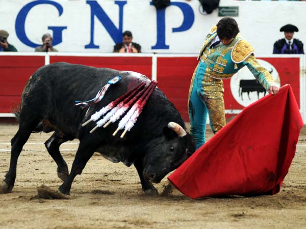 Muy pulsado, muy templado  (T.A)