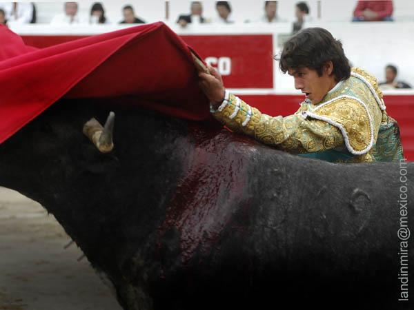 Barriendo los lomos  (A.L)