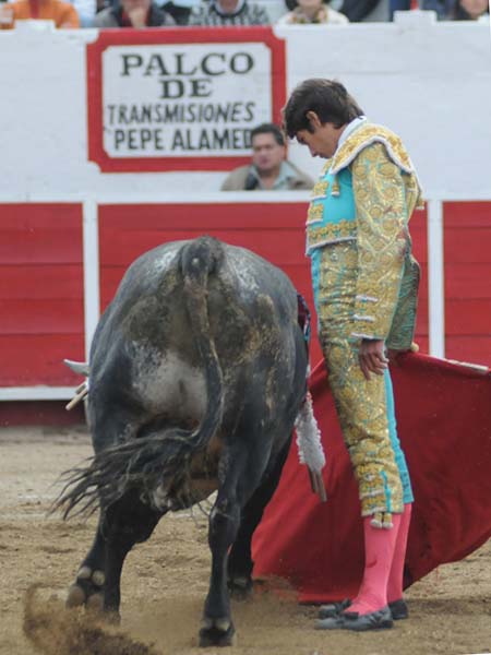 Relajado, vertical   (T.A)