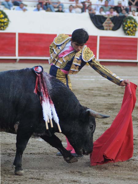 Buen muletazo  (T.A)