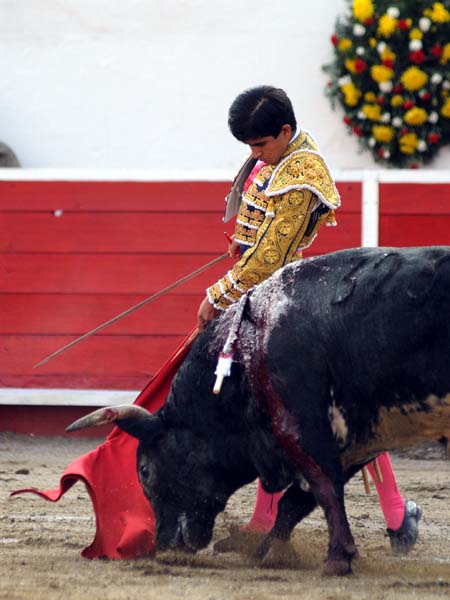 El adorno de inicio  (T.A)