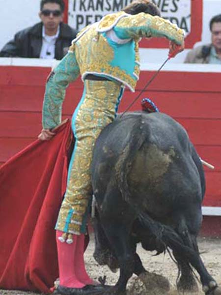 Exageradamente pegado al toro (T.A)