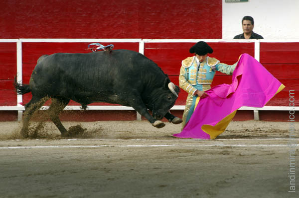 Castella ver�nicas de hinojos (A.L)