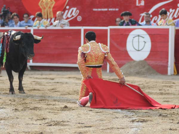 Valiente el cite de Garibay  (T.A)