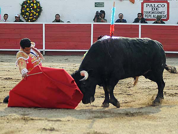 Inici� de rodillas  (T.A)