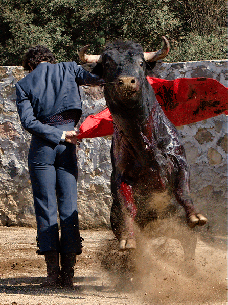 Listo para La M�xico