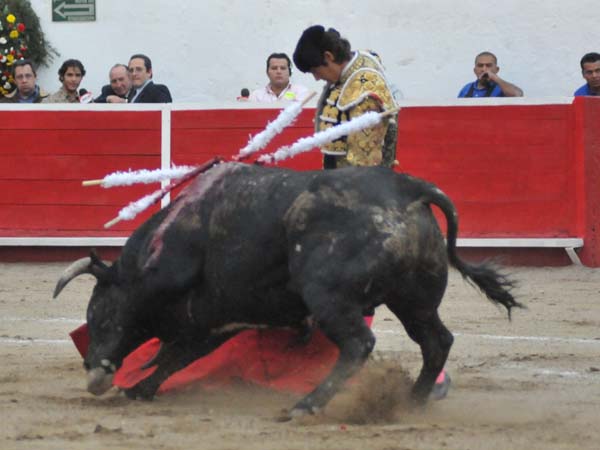 Intempestivamente se le arranc�