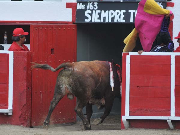 El indulto consumado