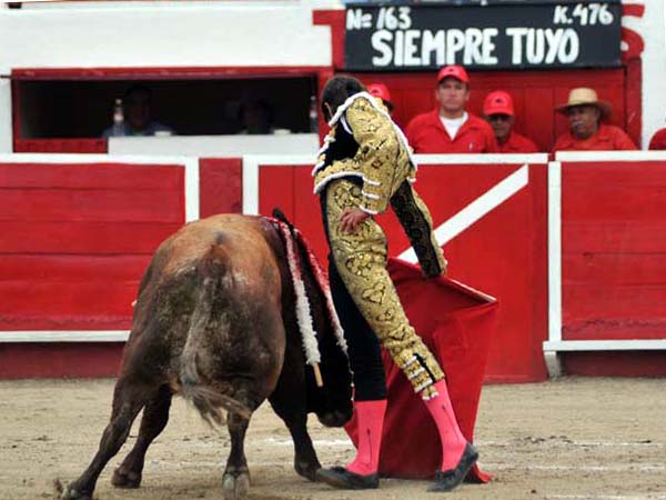 Toro artista y torero artista