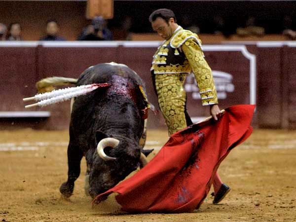 Ponce, el cari�o de siempre (S.H.)