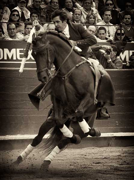 Centauro navarro (S.H.)