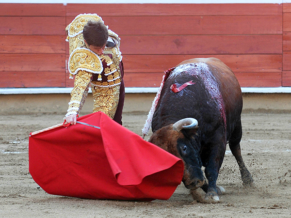 Fundidos en una obra de arte