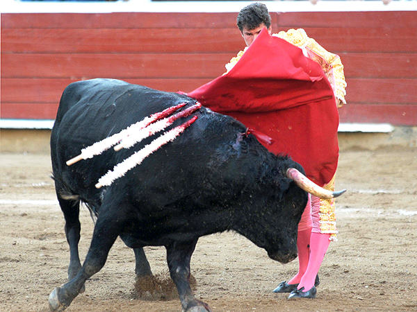 Se revolv�a en un palmo de terreno