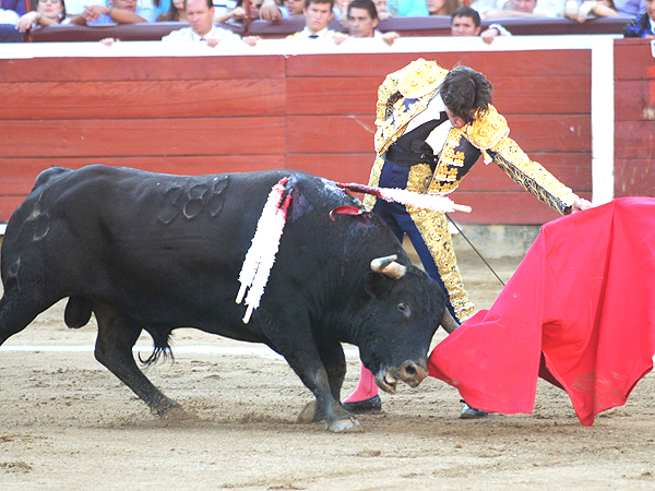 El natural de Curro D�az