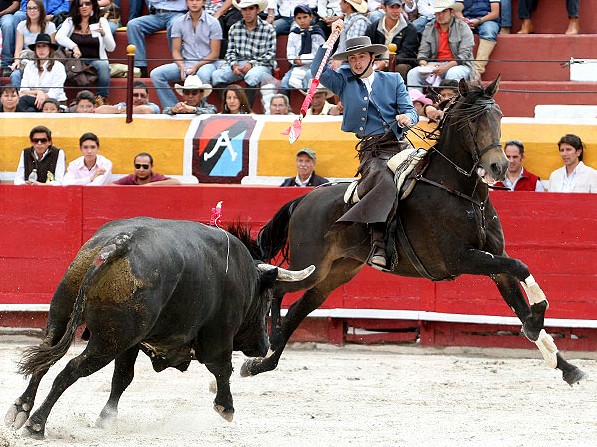 Un a�o de avances (Sainos)