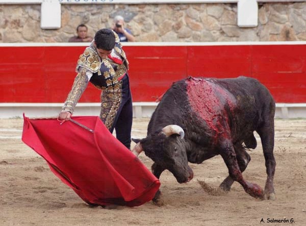 Listo para ser matador (Salmer�n)