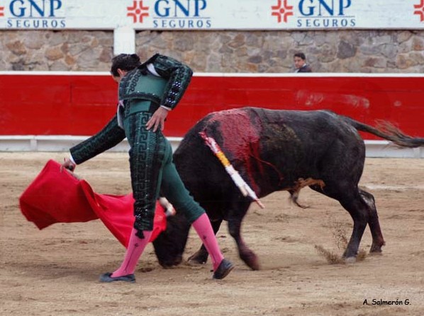 Con arte (Salmer�n)