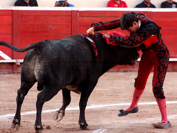 Soberbio estoqueador (Ram�rez)