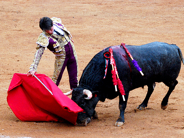 Avanza su tauromaquia (Nacif)
