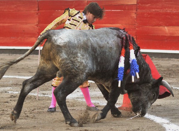 Valor y gran afici�n (Botello)