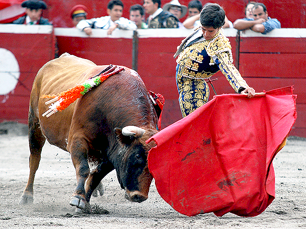 Toreando mucho (Nacif)