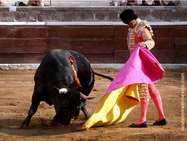 Garibay, cuarto lugar (Land�n)