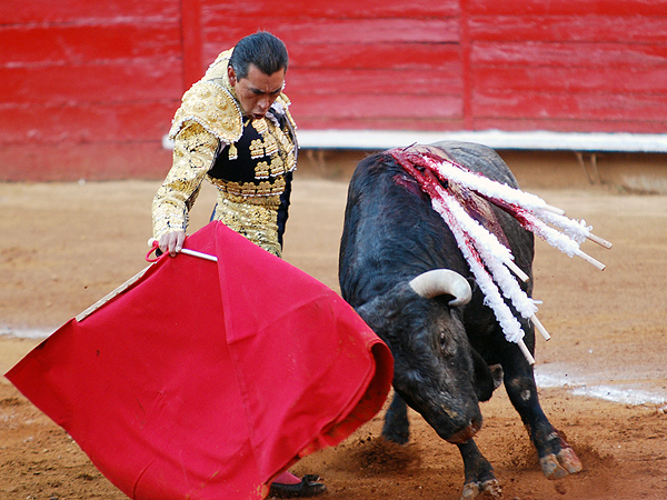 Volvi� a La M�xico (Nacif)