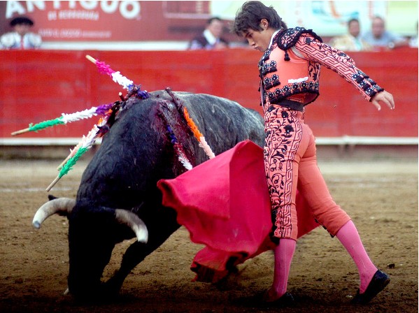 Buen a�o para los j�venes (Barrera)