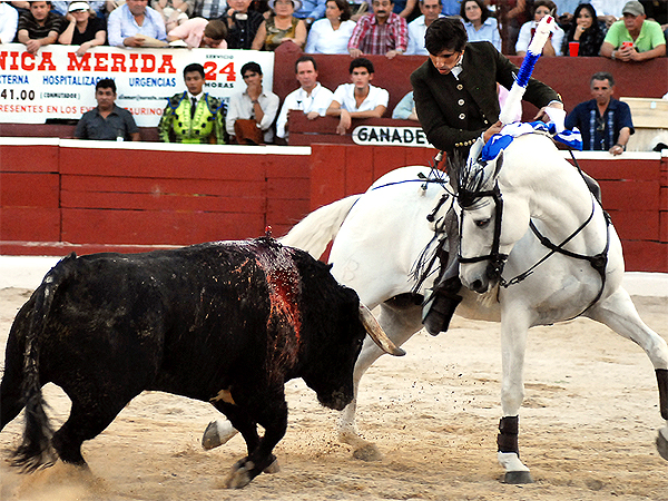 Ventura, toreando bien