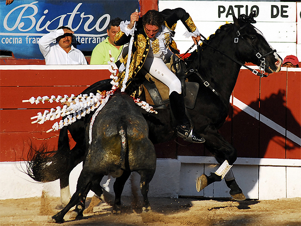 Con la hoja de peral