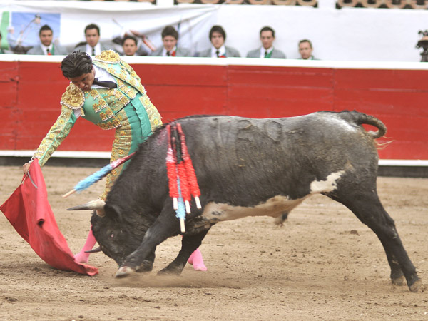 Redondeando un faen�n