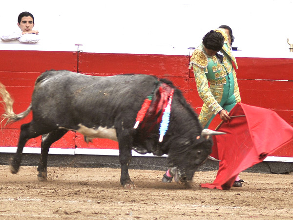Trincherazo de oro puro