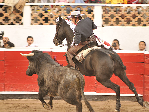 Pr�logo ecuestre, un desastre