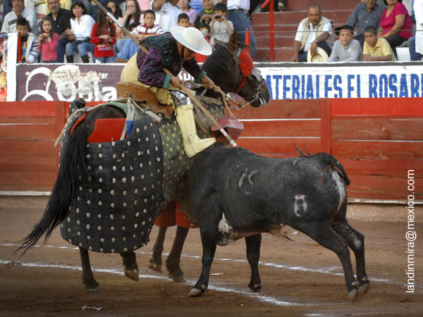 Prendido del morrillo