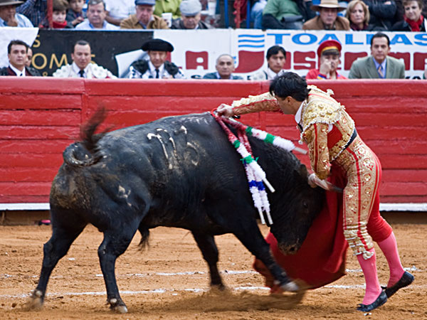 El momento de la cornada