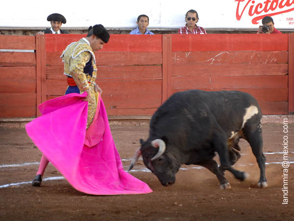 Mart�nez hijo abre el festejo