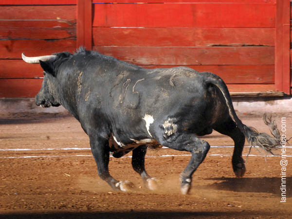 El primero de la tarde