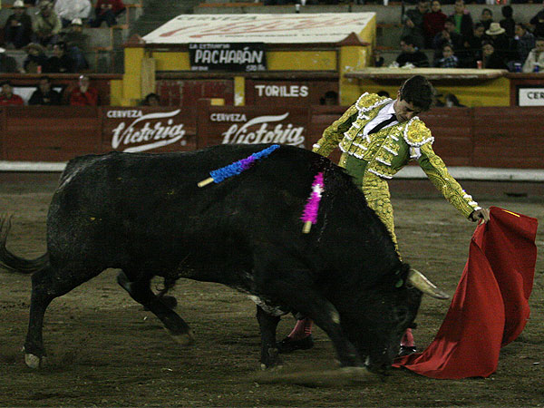 Temple y expresi�n