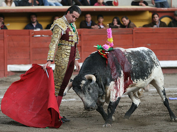 Alejandro Mart�nez V�rtiz