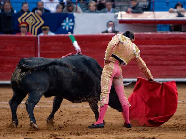 Con la cabeza arriba