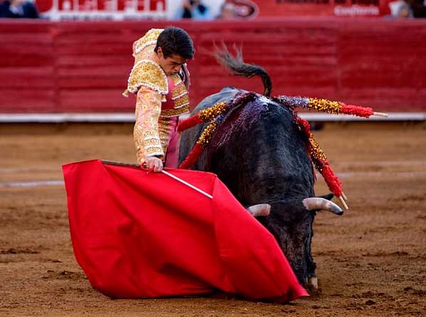 En busca del triunfo