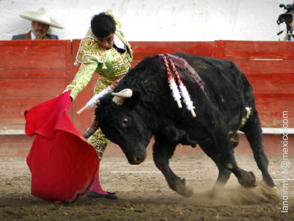 Muletazos largos de Rafa