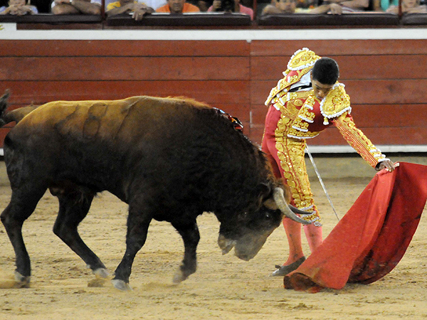 Zumb�ndose al serio casta�o