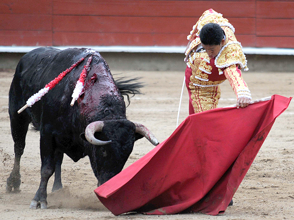 Intentando al natural