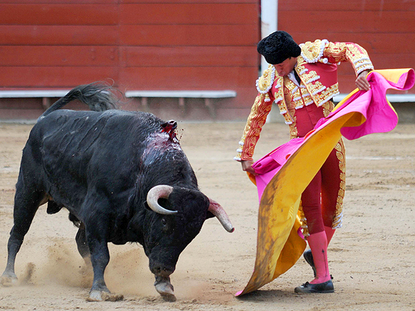 Vistoso quite por navarras