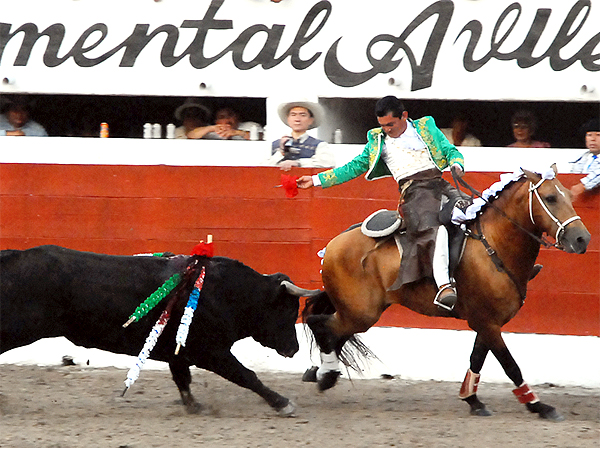 Toreando a la grupa