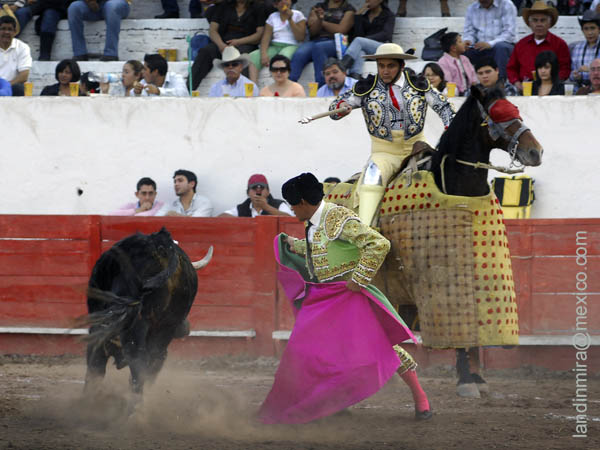 Dej�ndolo al caballo