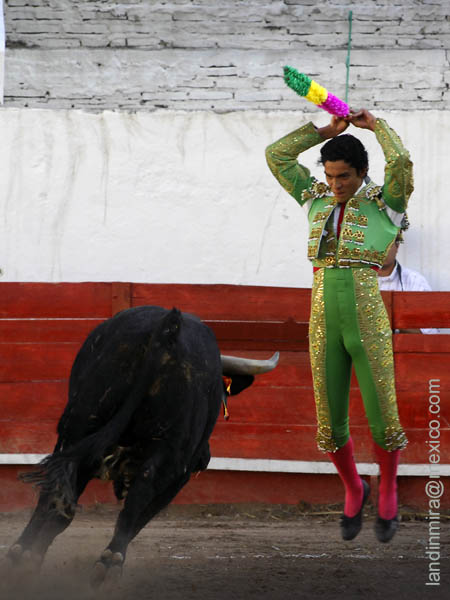 En la cara del ejemplar