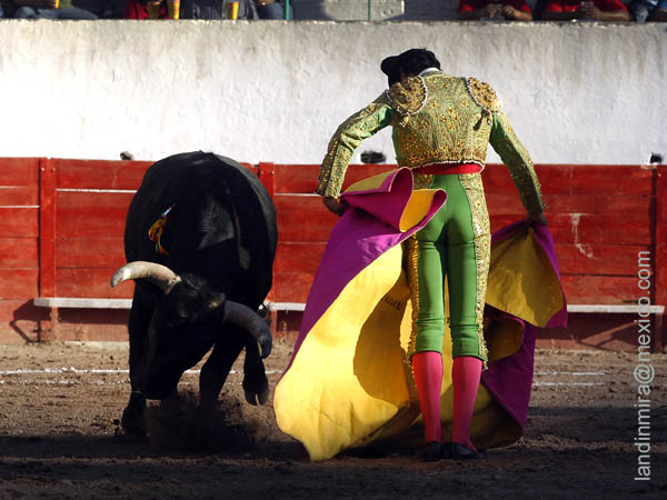 Chicuelinas en el quite