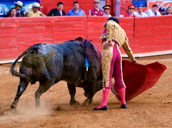 El viento molesto la tarde